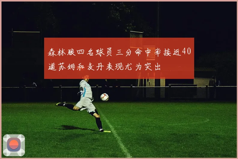 森林狼四名球员三分命中率接近40道苏姆和麦丹表现尤为突出